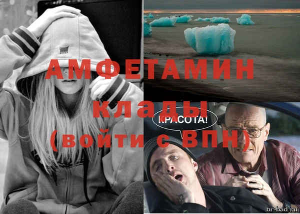 сатива Кинешма