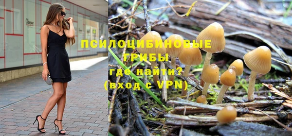 сатива Кинешма