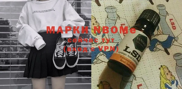 сатива Кинешма