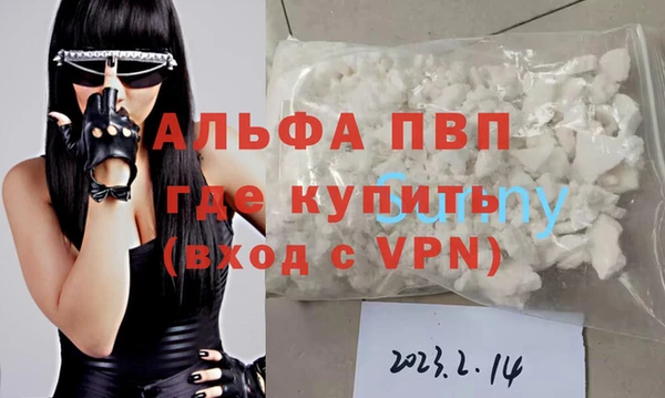 сатива Кинешма